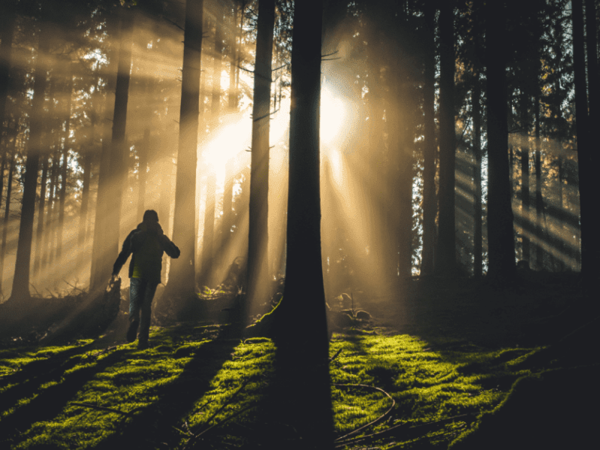 Kind läuft durch einen Wald bei Sonnenuntergang