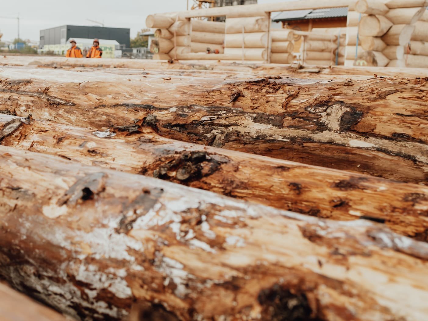 Naturstämme für den Blockhausbau