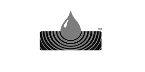 Sansin