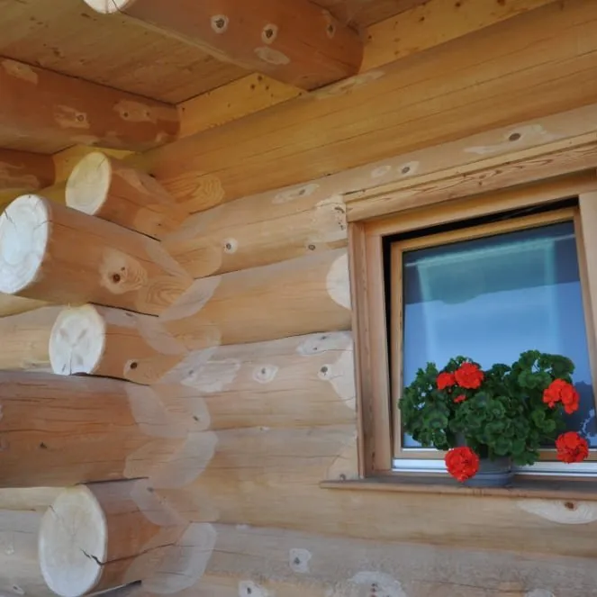 Blockhaus-Projekt Tuttlingen – Bild 3