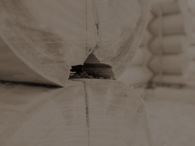 Gesägte Kerbe an einem Naturstamm